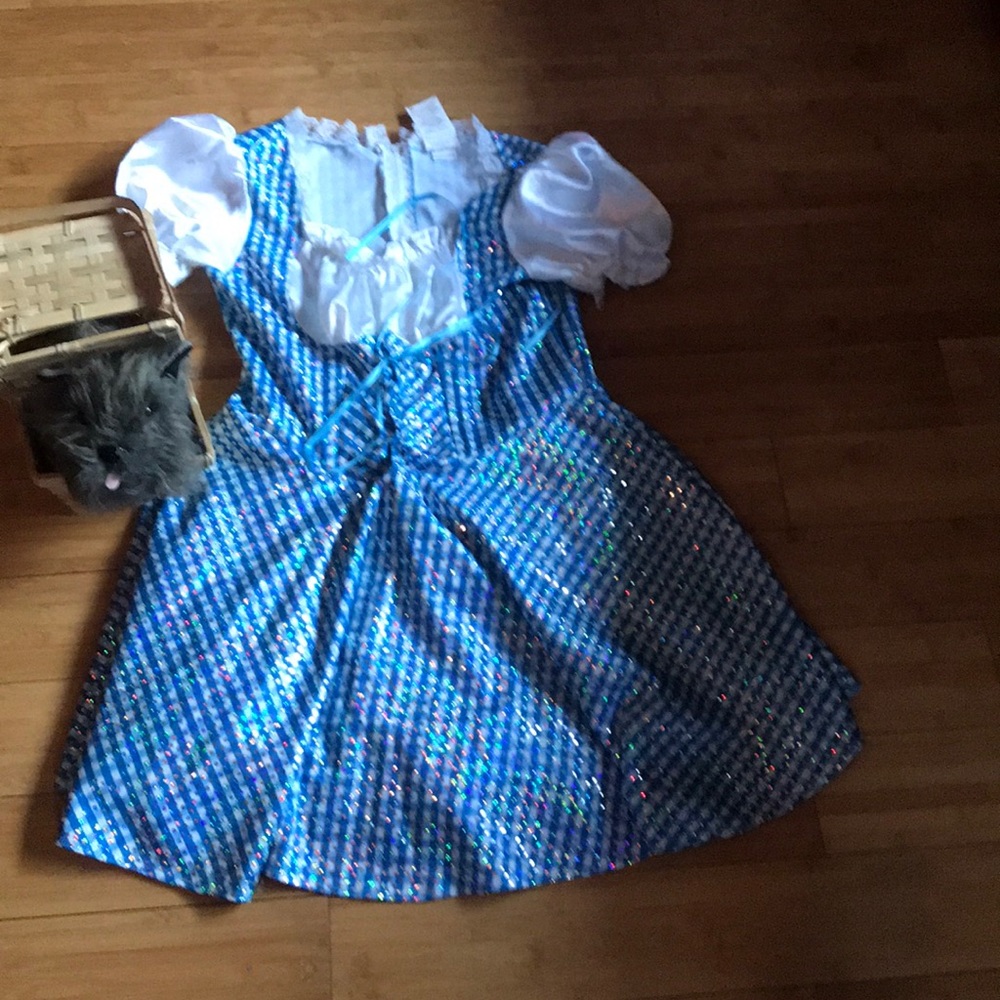 Dorthy From the Wizard of OZ